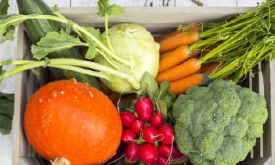 转运吃啥菜好(吃什么能带来财运和好运)