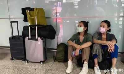 周迅面相为什么显小(周迅的面相分析)