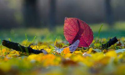 女生对男生说轮回什么意思(爱情里的轮回是什么意思)