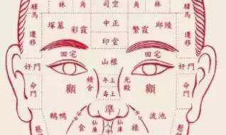 如何通过面相看性格女(面相看人性格)