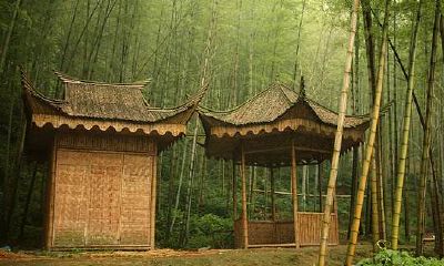 九星风水术天师(最快的催丁风水)