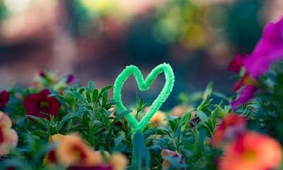 一个人姻缘何时到(怎么看一个人的姻缘何时到来)