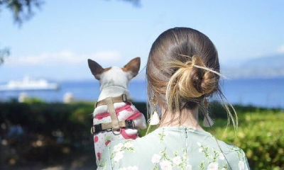 珠圆玉润的女人旺夫(面相好的女人)