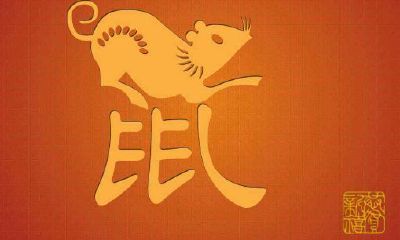 1996年属鼠今年运势(96年属鼠的今年好不好)