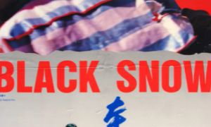 本命年李慧泉为啥打催永利(36岁是转折点属牛)