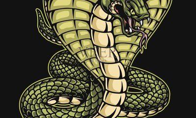 2023年生肖比较旺吗(最旺猴的生肖)