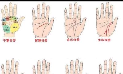 婚姻线与财运线相交成三角纹(天生具有经商的手相)