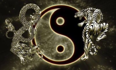 日柱带有绞煞寡宿什么意思(日柱神煞华盖寡宿)