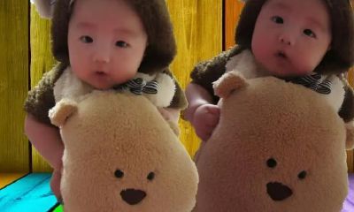 五行属火的楚辞里的名字(五行属火寓意好的字有哪些)