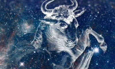 金牛座女生很冷漠(为什么不能欺负金牛座)