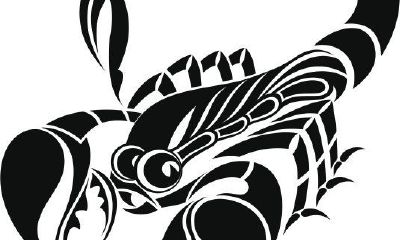 不要招惹天蝎座高冷善妒爱猜测文字(天蝎座让你吃醋的套路)