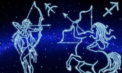 摩羯座最强星座排名第几(摩羯座在12星座里有哪些排名第一)