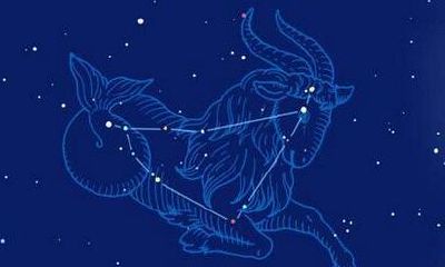 摩羯座不合群吗(摩羯不合适的星座)