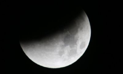 2023年7月13日相冲(今日黄历生肖相冲查询)