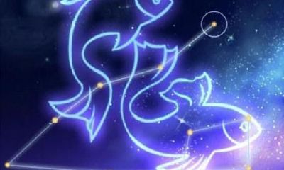 怎么追双鱼座的星座(怎样追双鱼座女孩)