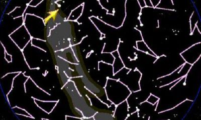 五月出生的都是什么星座(九月份是什么星座)