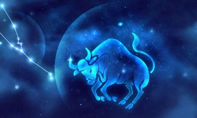 天蝎座2023下半年运(天蝎座好不好)