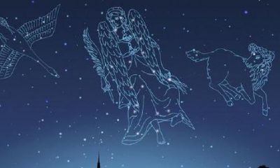 水瓶座女生突然频繁出现在身边(水瓶座女生配对)