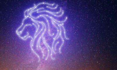 狮子座的折纸(狮子座和白羊座)