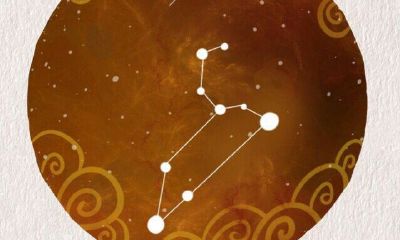 双鱼男白羊女在床上的表现(白羊男为何喜欢双鱼女)