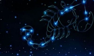 为什么天蝎座异性缘太好(天蝎座人际关系很差)