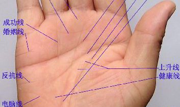 在线掌纹算命(手相分析免费)