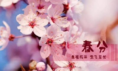 公司起名字有什么讲究和忌讳(命里缺金怎么起公司名字)