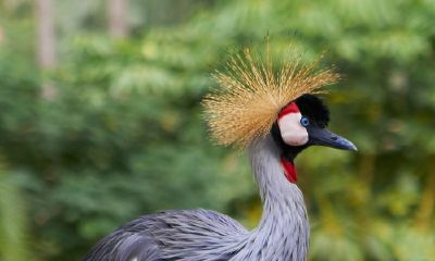 67年属羊的五行缺什么(67年属羊招财的网名)