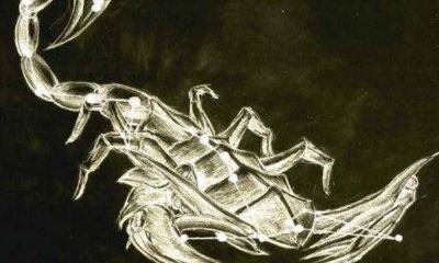 天蝎座什么血型(天蝎座是什么血型女生)