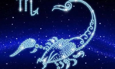 天平座什么月份有桃花运(天秤座男和什么星座最配)