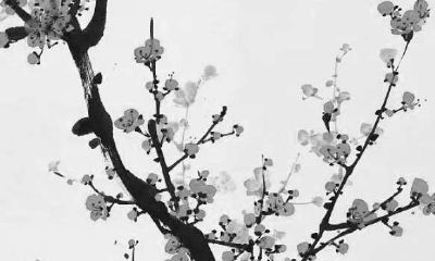 偏财格走什么大运(偏财格走枭神大运)