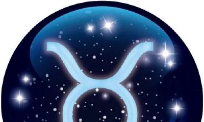 双子座和金牛座适合当朋友吗(双子座和金牛座友情指数)