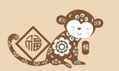 92年属猴的2023年运势(92年属猴一生大劫年)