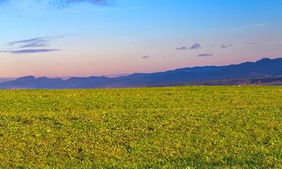 老黄历2023年婚嫁吉日(2023年宜嫁娶的日子)