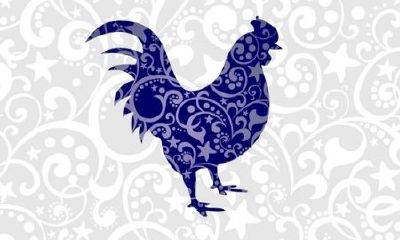 属鸡的最大年龄是多少(属鸡的年龄分别是多少)