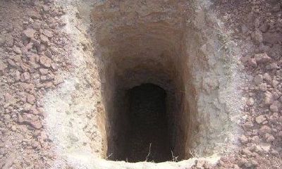 紫微斗数凶星入庙(紫微斗数凤阁)