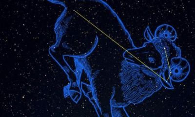 2023年12星座幸运颜色(2023年水瓶座的幸运颜色)