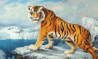 属羊男人脾气暴躁吗(属羊的男人是不是很阴险)