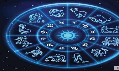 星座看财运准吗(为什么星座运势不准)