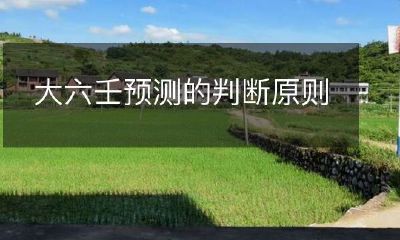 通过大六壬预测未来的判断原则及其应用方法探析