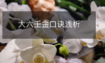 深入浅出的讲解大六壬金口诀:探析其背后的奥秘与玄妙