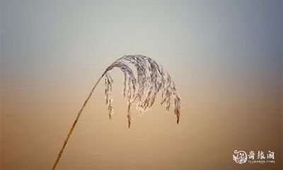 探寻2023年农历二月黄道吉日的吉祥意义和应用价值