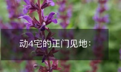 四个宅男对娱乐圈的深度评价和建议:他们的观点会让你看待综艺与偶像产业完全不同!