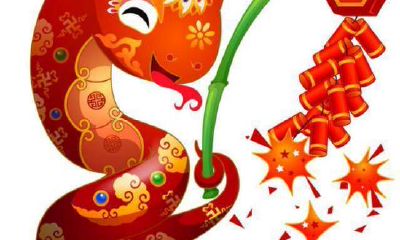 属蛇人家庭摆放的镇宅招财吉祥物推荐:让你的家居生活更富有吉祥气息!