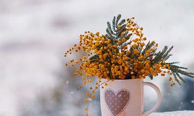 如何查询2023年农历六月凶日破日?