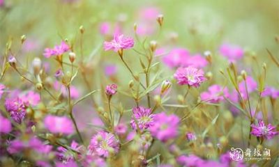 如何进行2023年农历五月的破日与凶日查询?