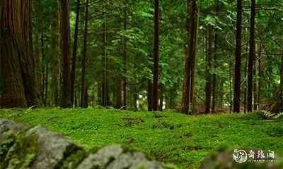 如何查询2023年农历四月的凶日和破日?