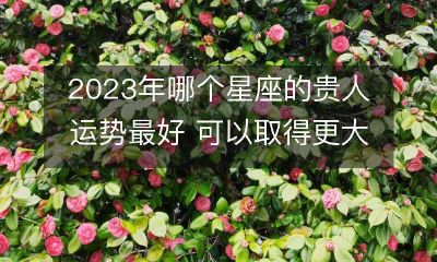 探究2023年哪个星座将获得贵人运势顶峰,成就更大成功的可能性最高?