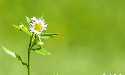 如何查询2023年农历闰二月凶日破日,让你安心规避不利日期?