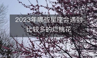 预测2023年烂桃花较多的星座是哪些?